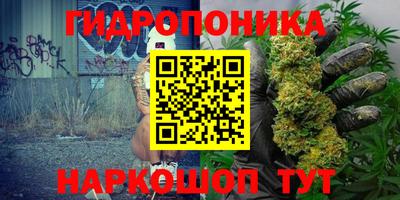 прущие грибы Кимры