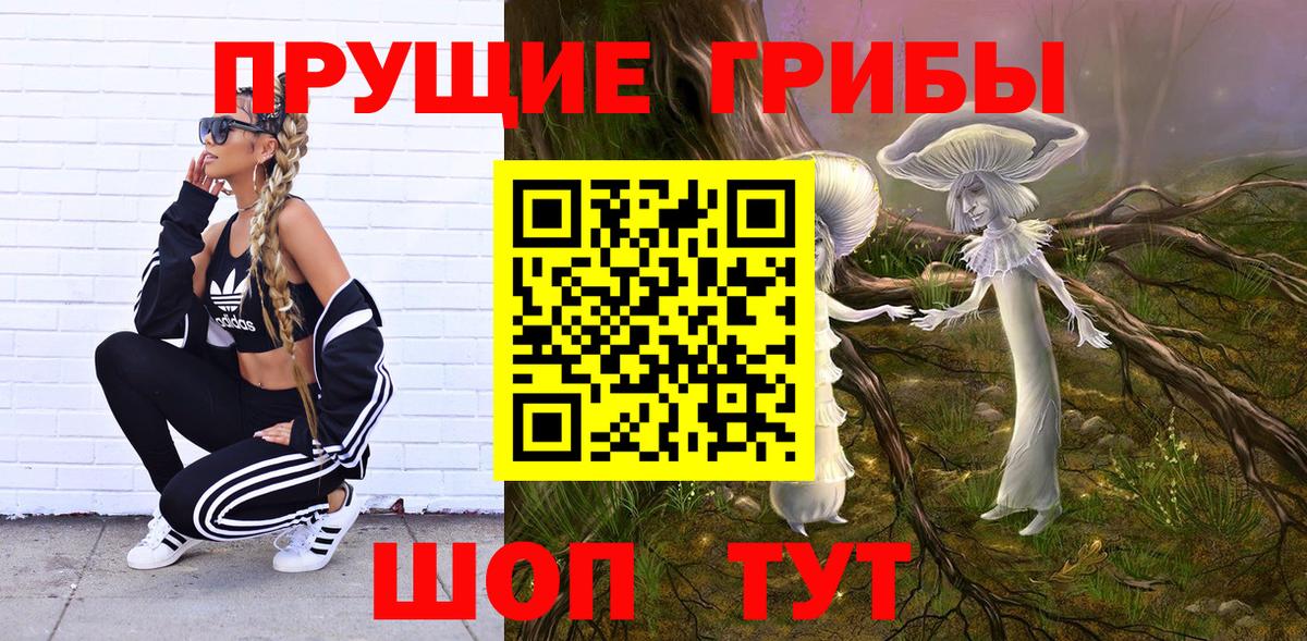 Псилоцибиновые грибы GOLDEN TEACHER  Вход с VPN  наркошоп  Петропавловск-Камчатский  Галлюциногенные грибы ЛСД 