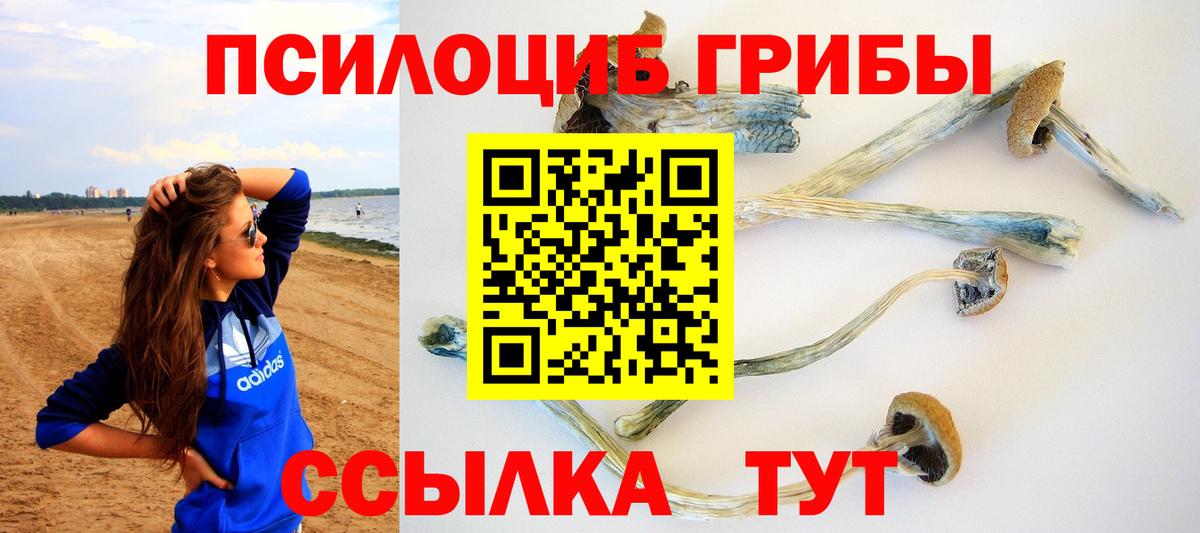 Псилоцибиновые грибы Cubensis Петропавловск-Камчатский